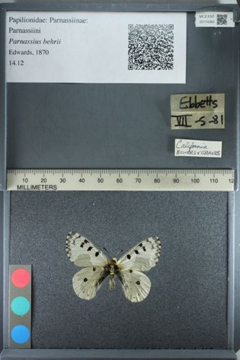 Media type: image;   Entomology 174380